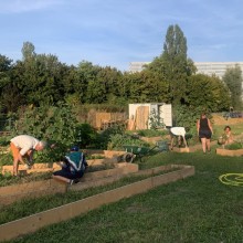 Photo du Potager des Nations