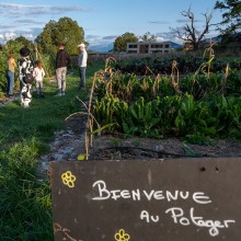 Potager des Nations - Genève Cultive