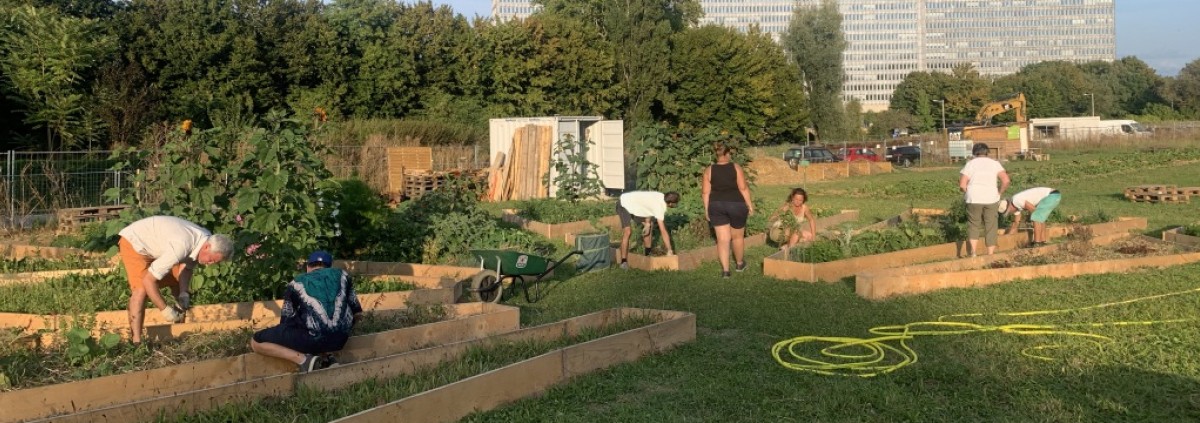 Photo du Potager des Nations