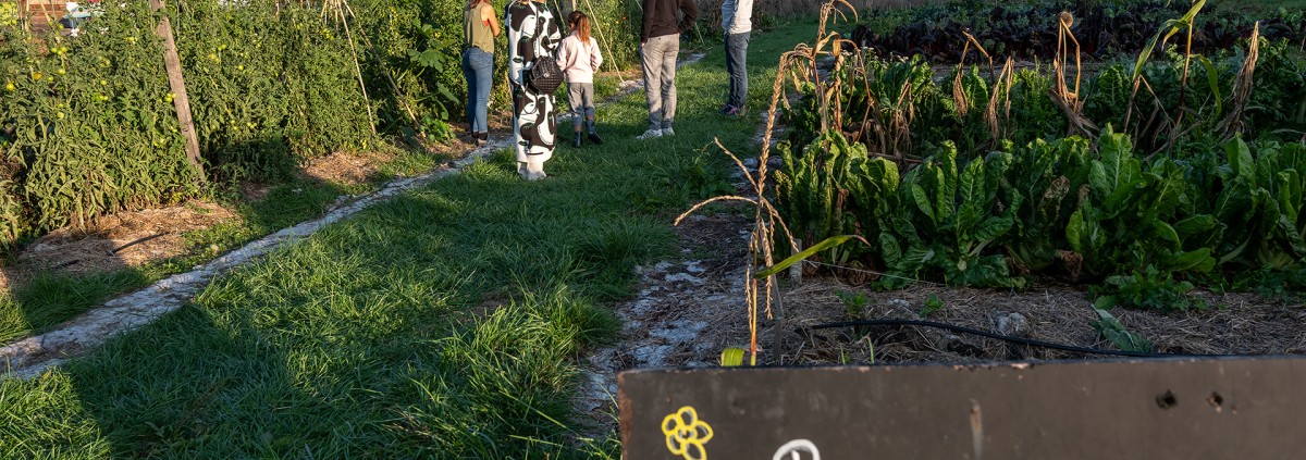 Potager des Nations - Genève Cultive