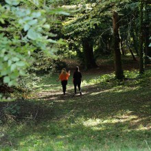 Promenade dans la forêt de la FICR