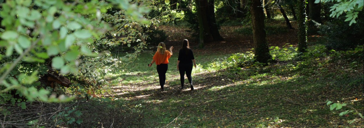 Promenade dans la forêt de la FICR